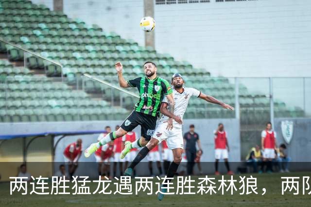 两连胜猛龙遇两连胜森林狼，两队都想保住不败金身