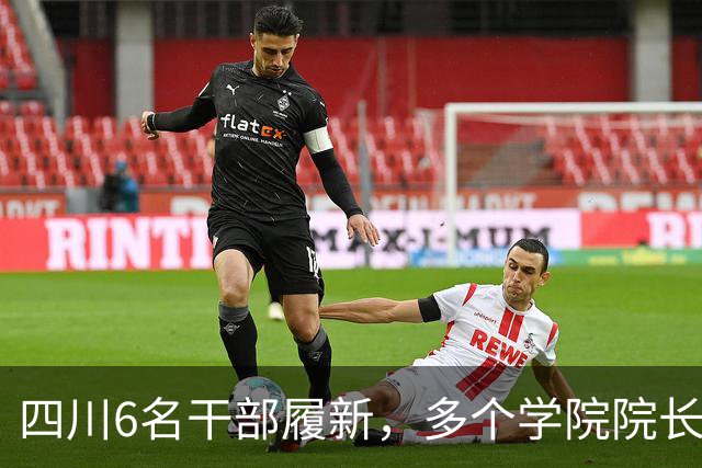 四川6名干部履新，多个学院院长调整