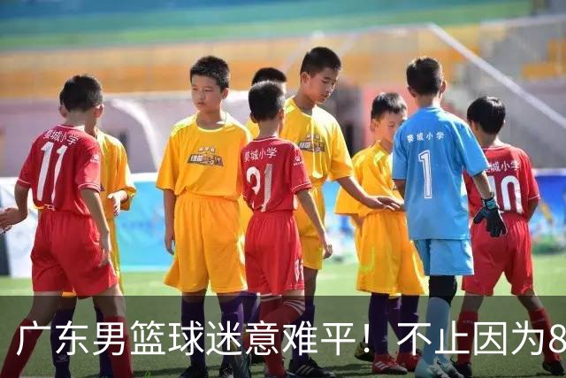广东男篮球迷意难平！不止因为87-99上海，更多原因在于以下7点