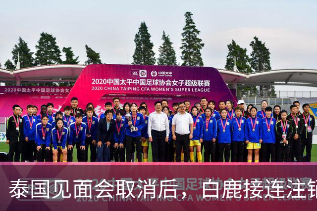 泰国见面会取消后，白鹿接连注销名下三家公司，网友：果然有猫腻