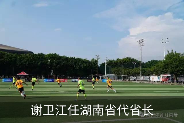 谢卫江任湖南省代省长
