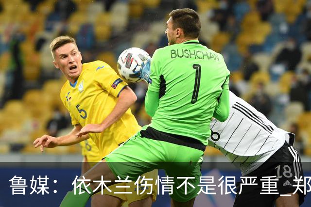 鲁媒：依木兰伤情不是很严重 郑铮的未来要等手术后才能有结果